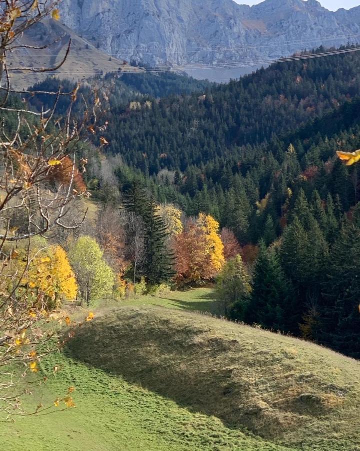 Bel Appart 3* Centre Village Villard-de-Lans Exteriör bild